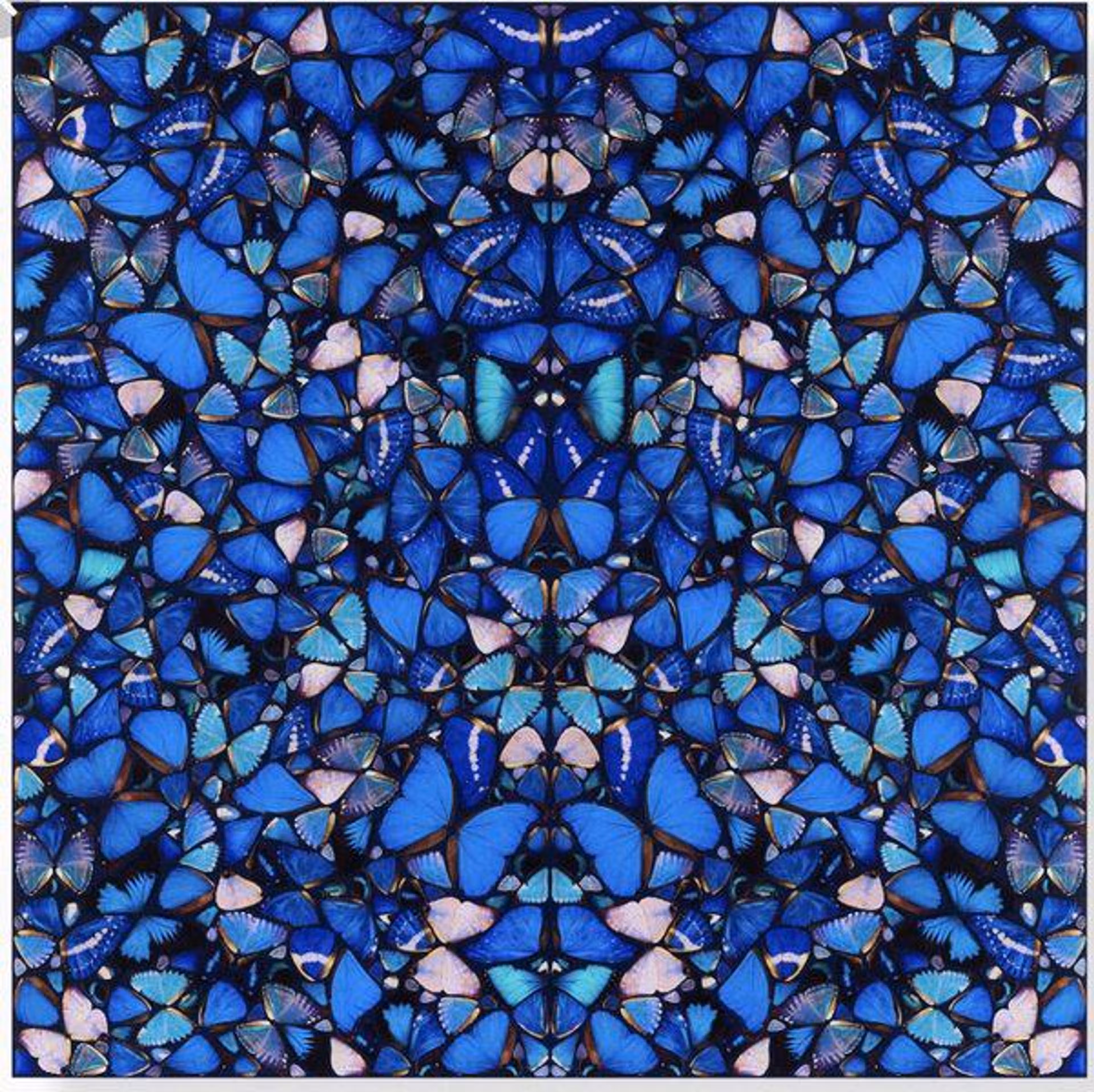 Damien Hirst - H6-1 Mercy